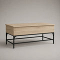 Table basse coffre rectangulaire avec rangement en panneaux de particules mélaminés chêne clair et acier noir, 100 × 50 × 50 cm